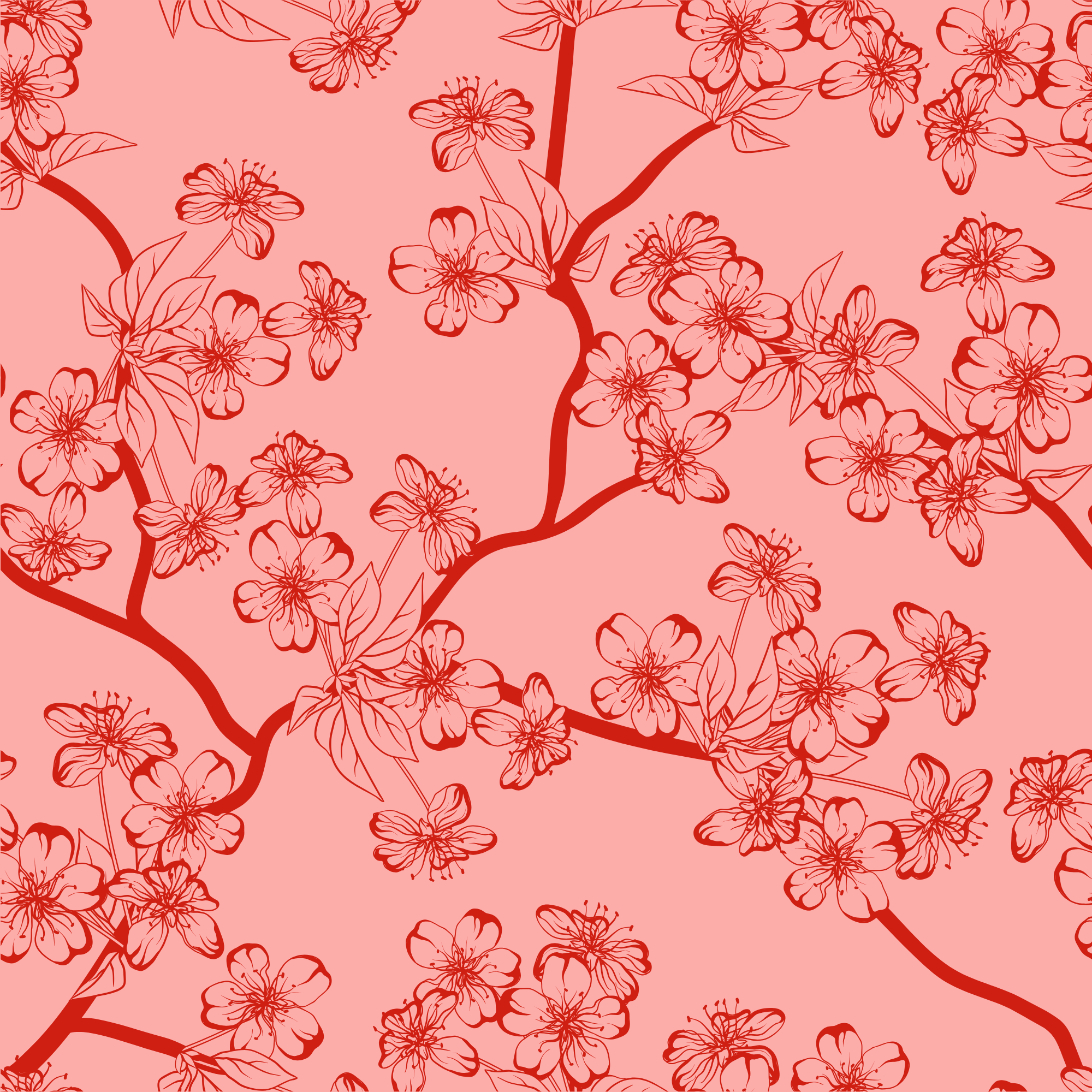 Cherry Blossom