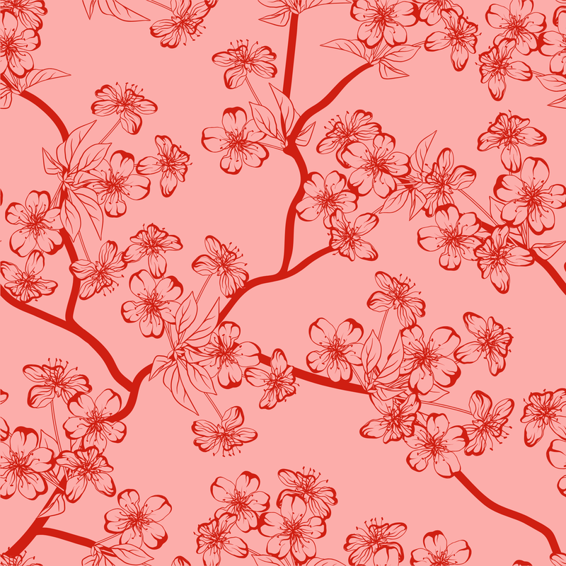 Cherry Blossom